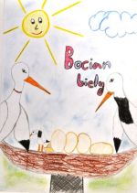 Szirotnyáková Nikolett.jpg